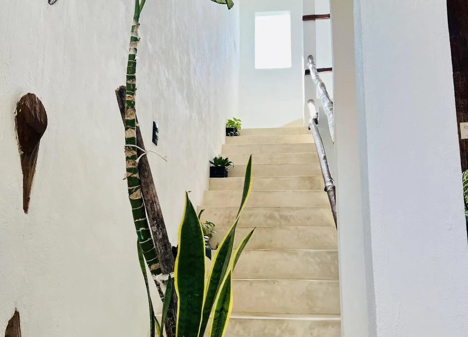 Kin Studios Holbox